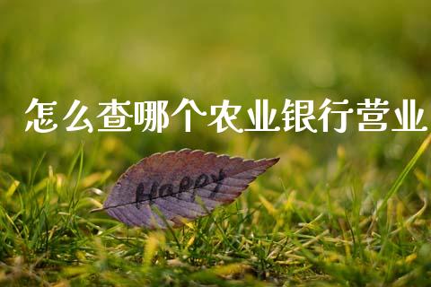 怎么查哪个农业银行营业_https://wap.fcdydaikuan.com_投资策略_第1张