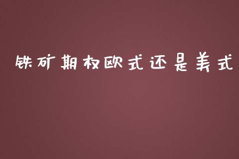 铁矿期权欧式还是美式_https://wap.fcdydaikuan.com_金融机构_第1张