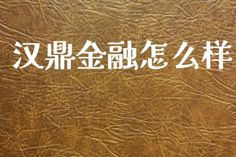 汉鼎金融怎么样_https://wap.fcdydaikuan.com_国际投资_第1张